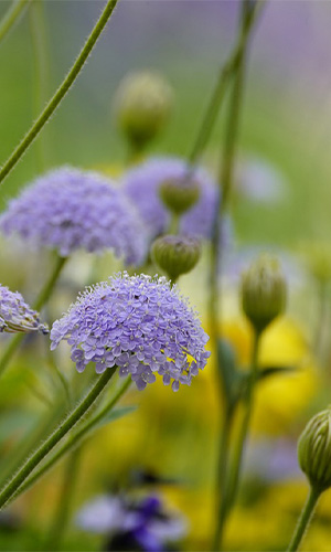 Gartengestaltung