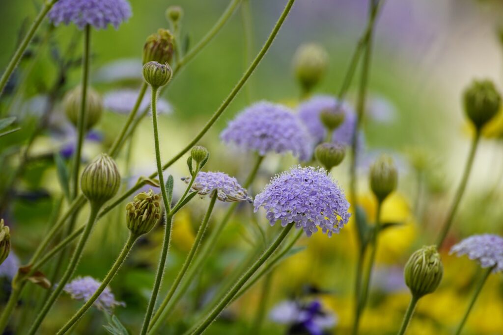 Gartengestaltung